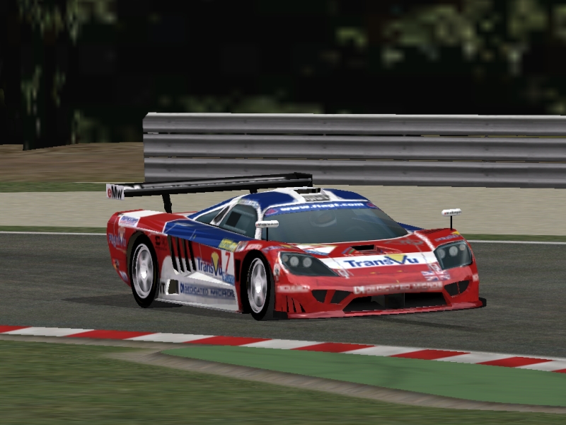 saleen rocks.jpg