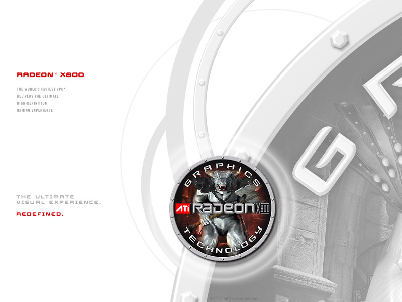 x800_wallpaper.jpg